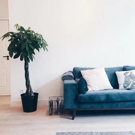Light Spacious Apartment